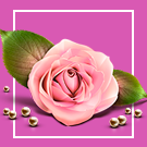 Florist: доставка цветов,подарков,магазин цветы на Старте - Готовые интернет-магазины