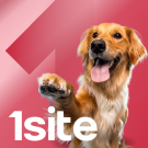 1Site.NKO - Сайт некоммерческой организации, благотворительного фонда - Готовые сайты