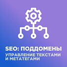 SEO: поддомены + управление метатегами и текстами -  