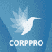 Колибри: Корппро - Готовые сайты