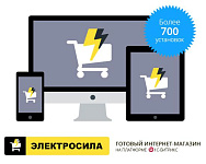 Примеры реализованных интернет-магазинов и торговых сайтов на готовом решении ЭЛЕКТРОСИЛА