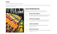 Интернет-магазин продуктов питания и доставки еды «Крайт: Продукты питания.Retail24» с конструктором - Готовые интернет-магазины